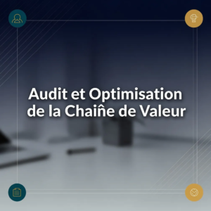 Audit et Optimisation de la Chaîne de Valeur