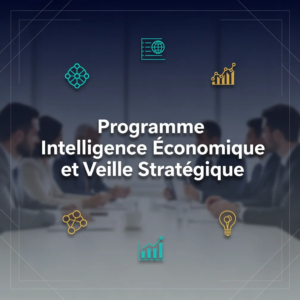 Programme Intelligence Économique et Veille Stratégique