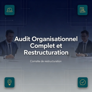 Audit Organisationnel Complet et Restructuration